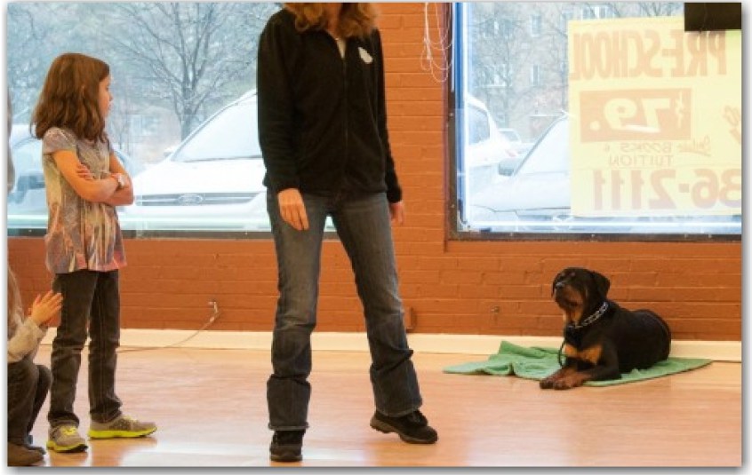 Dog Training Schaumburg, IL Dog Training Now