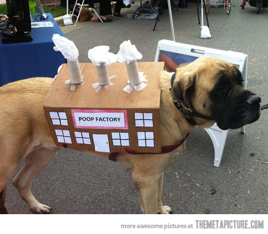 Funny Dog Halloween Costume Box Cool Dog Training Now